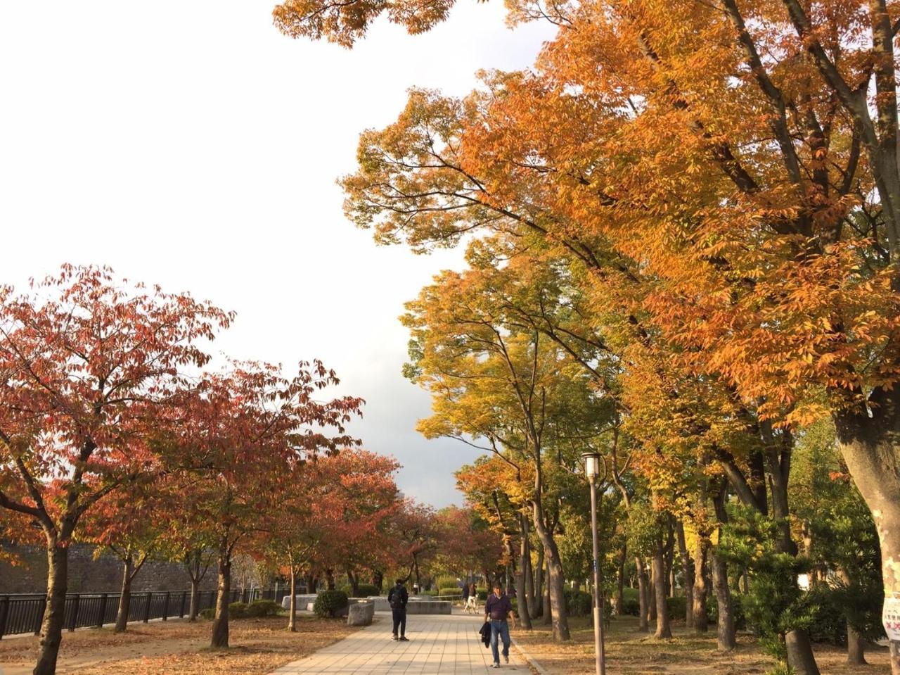 Отель Mikawa House Osaka Castle Экстерьер фото